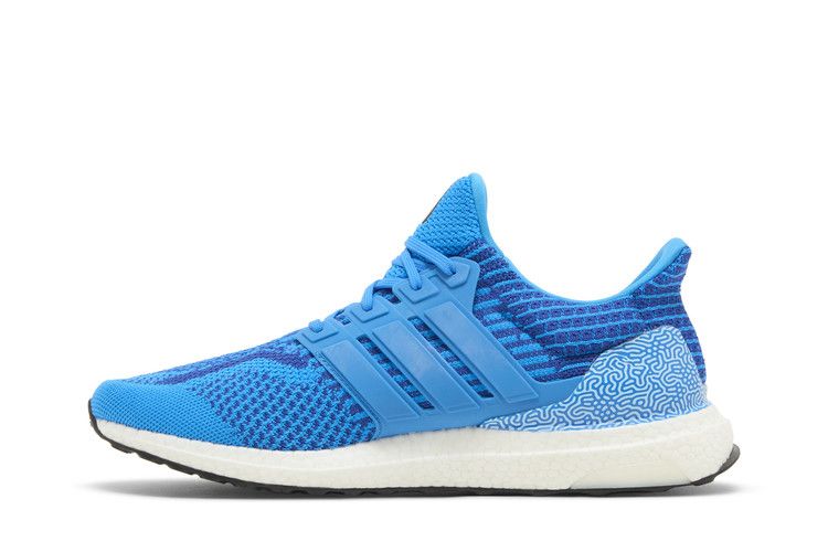 adidas UltraBoost 5.0 DNA 'Blue Rush'