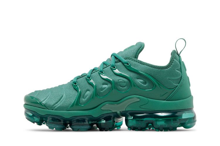 Nike Wmns Air Vapormax Plus 'Bicoastal'