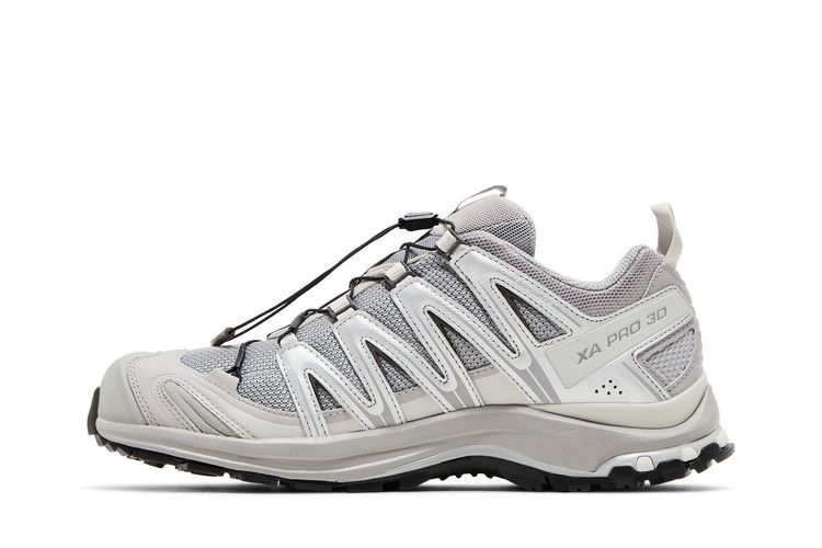 Salomon XA Pro 3D 'Alloy Silver'