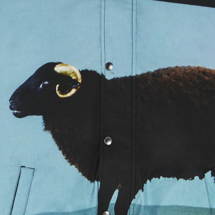 Supreme x Damien Hirst Down Puffer Jacket 'Black'