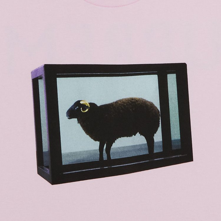 Supreme x Damien Hirst Tee 'Light Pink'
