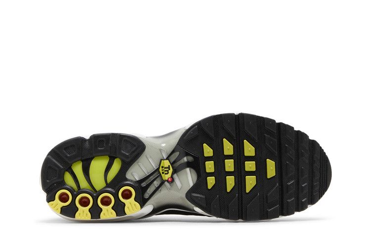 Nike Air Max Plus GS 'Black Bright Cactus'