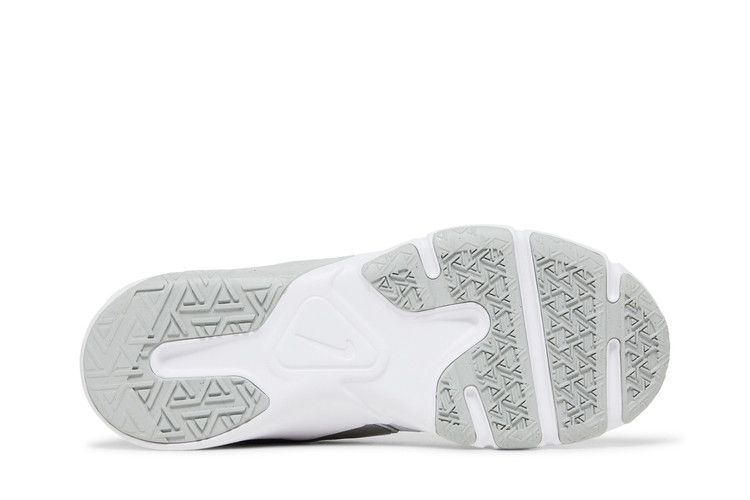 Nike Wmns Legend Essential 2 'Photon Dust Metallic Silver'