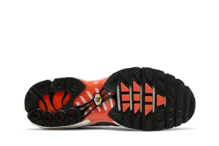 Nike Air Max Plus 'First Use'