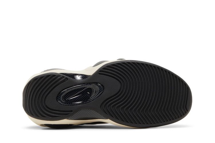 Nike Air Zoom Flight 95 'Hoops'