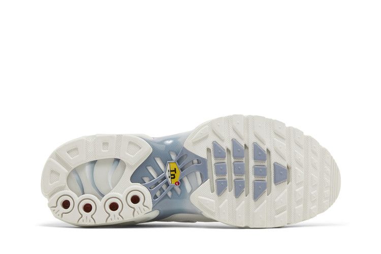 Nike Wmns Air Max Plus 'Ashen Slate'
