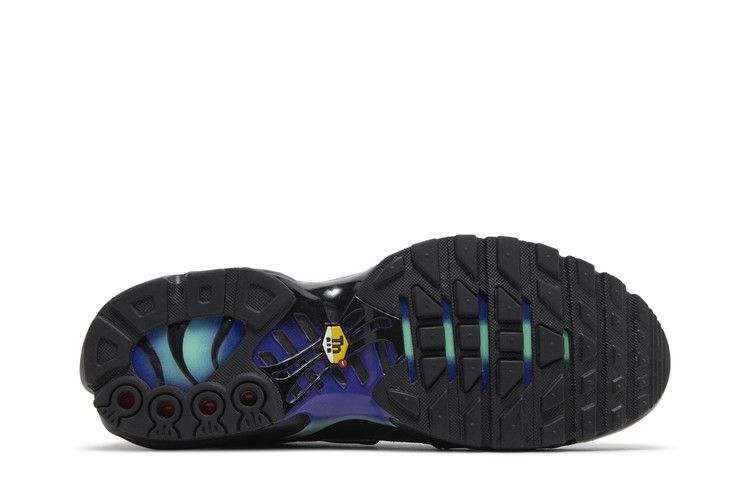 Nike Air Max Plus 'Unity'