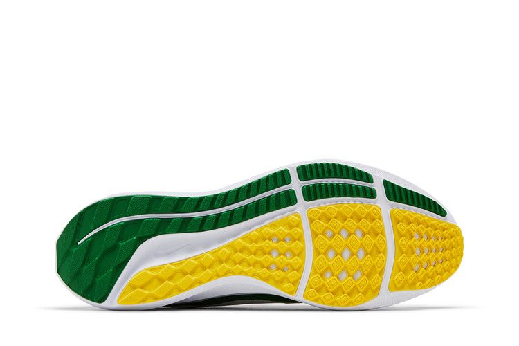 Nike Air Zoom Pegasus 40 'Oregon'