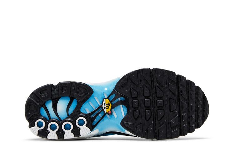 Nike Air Max Plus GS 'Ice'