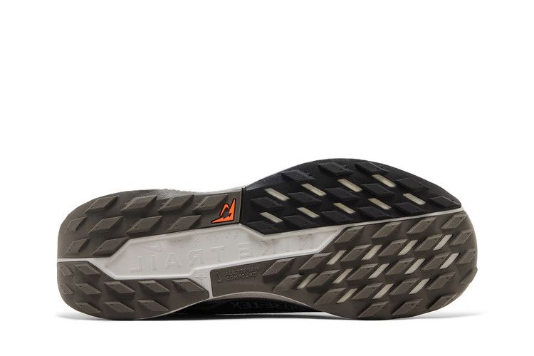 Nike Pegasus Trail 5 GORE-TEX 'Ironstone Velvet Brown'