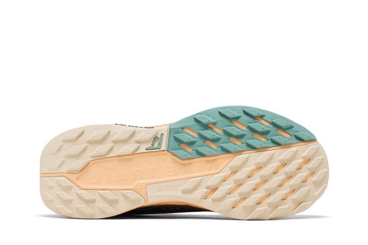 Nike Wmns Pegasus Trail 5 GORE-TEX 'Mink Brown Orange Chalk'