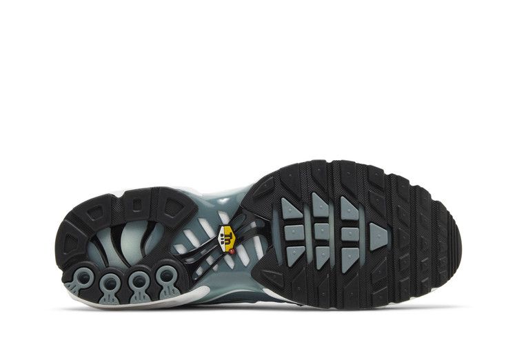 Nike Air Max Plus 'Palm Pack - Waterway'