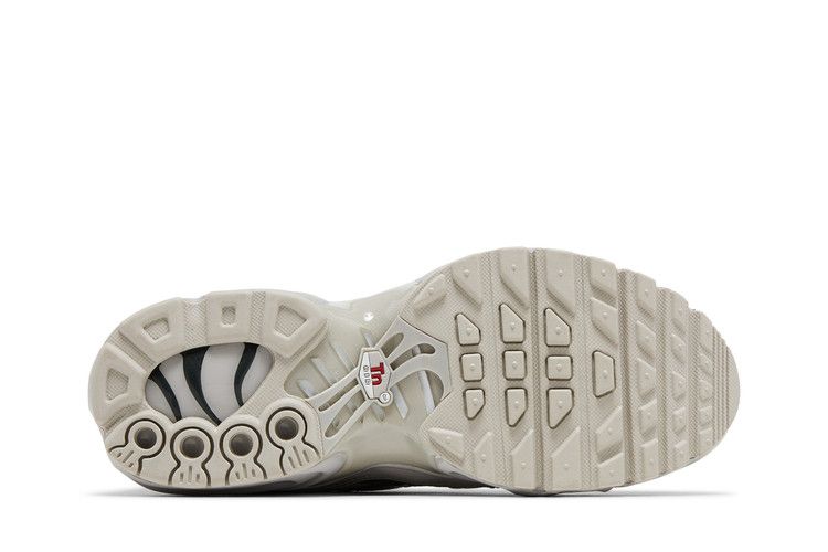 Nike Air Max Plus GS 'Light Iron Ore Chrome'
