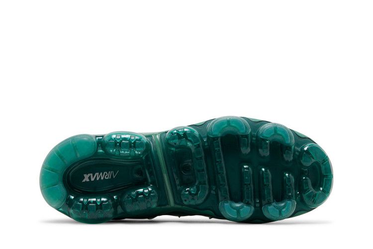Nike Wmns Air Vapormax Plus 'Bicoastal'