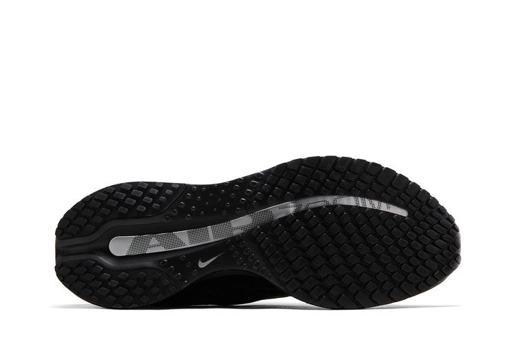 Nike Pegasus Premium 'Black Metallic Silver'