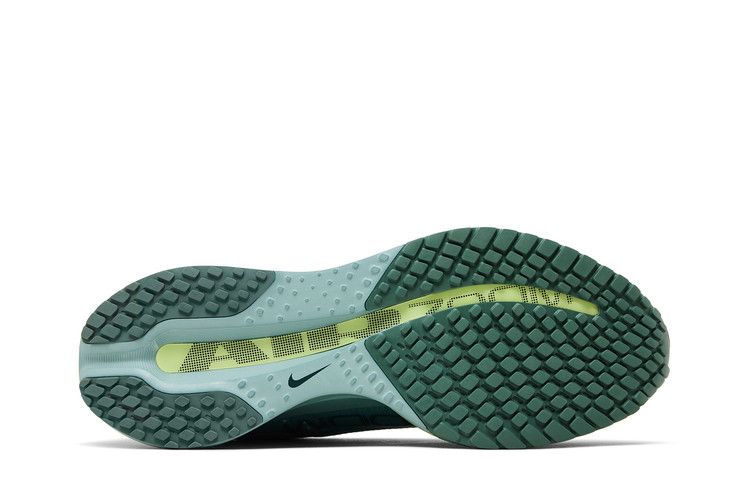 Nike Pegasus Premium 'Cannon'