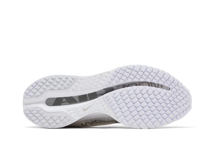 Nike Wmns Pegasus Premium 'White Metallic Silver'