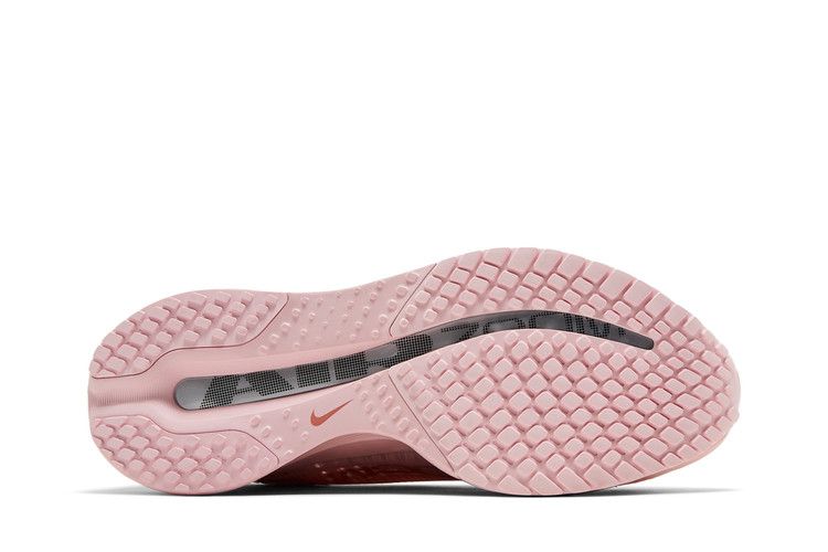 Nike Wmns Pegasus Premium 'Atmosphere'