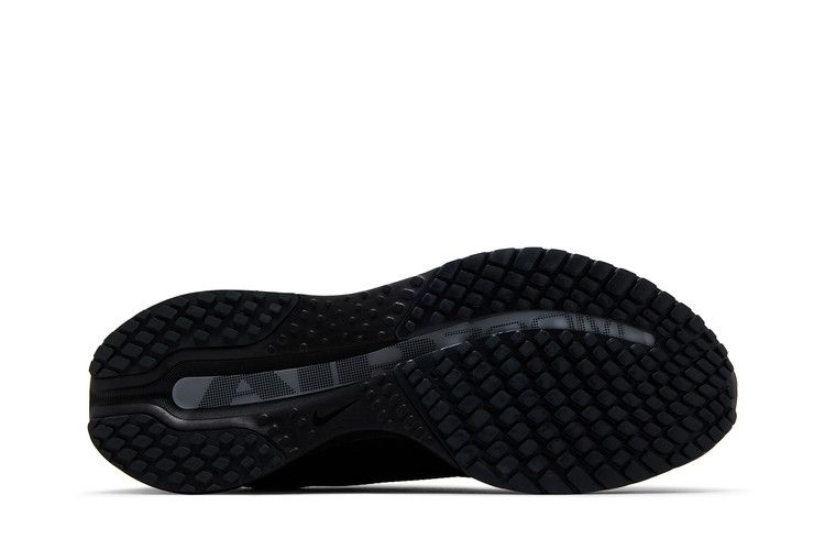 Nike Pegasus Premium SP 'Black Metallic Silver'