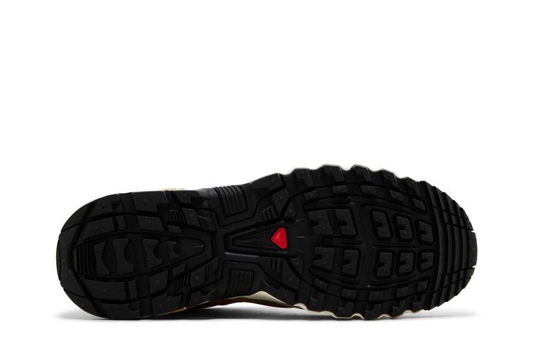 Salomon ACS Pro GORE-TEX 'Icicle Antelope'