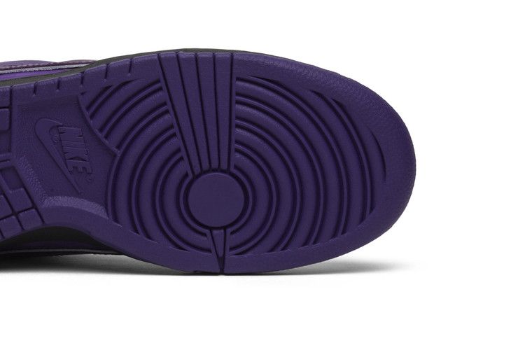 Concepts x Nike Dunk Low SB 'Purple Lobster' Special Box