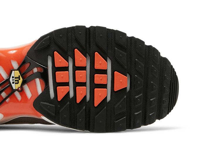 Nike Air Max Plus 'First Use'