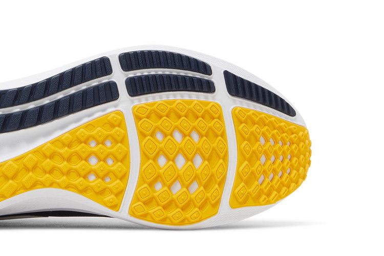 Nike Air Zoom Pegasus 39 'Michigan'