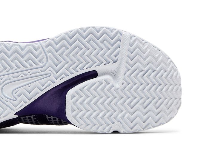 Nike LeBron Witness 7 TB 'Court Purple'