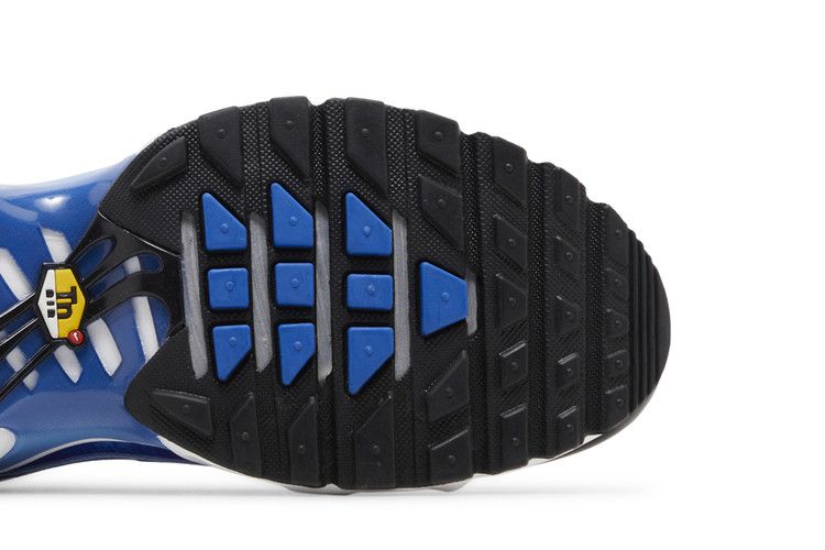 Nike Men's Air Max Plus 'Light Photography - Old Royal'