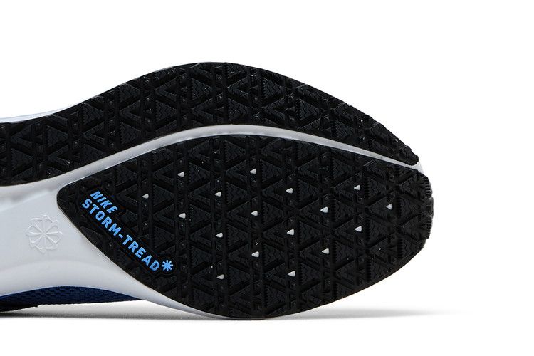 Nike Wmns Air Zoom Pegasus 41 GORE-TEX 'Cobalt Bliss'