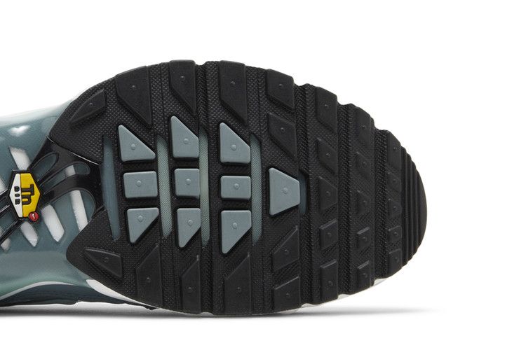 Nike Air Max Plus 'Palm Pack - Waterway'